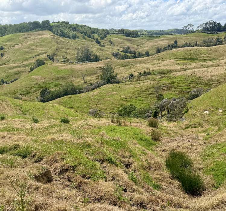 Pukehuia Road Arapohue_7