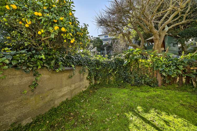 15 Caroline Street Mount Victoria_11