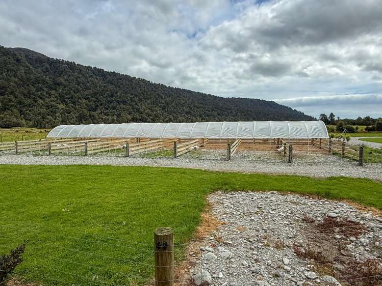 221 Docherty Creek Rd and Waiho Flat Road Franz Josef_4