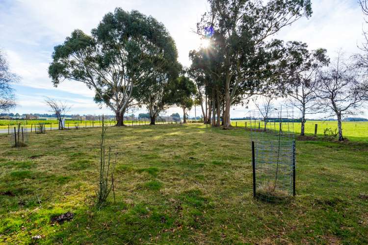 205 Barton Road Fairview_19