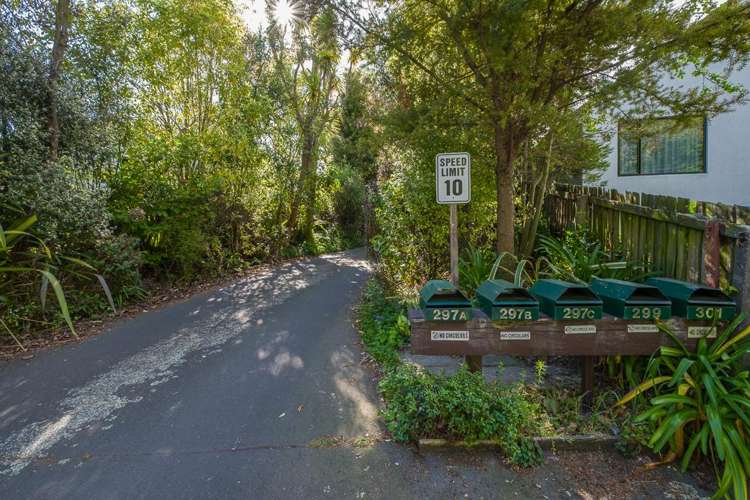 297b Ashgrove Terrace Somerfield_26