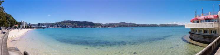 4 Hay Street Oriental Bay_17