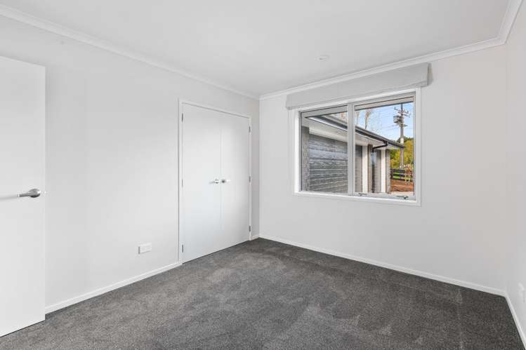 274 Whitehills Road Dairy Flat_20
