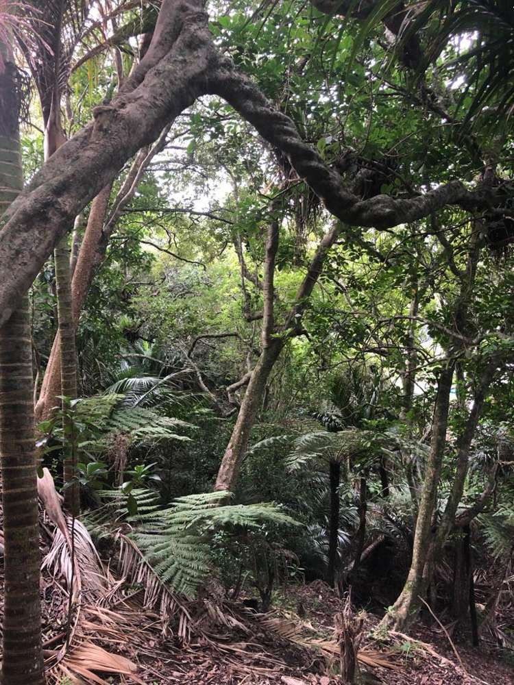 12 Beresford Avenue Surfdale_11