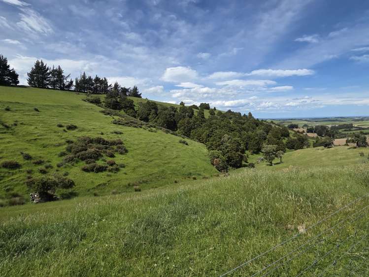 183 Gunn Road Waitepeka_12