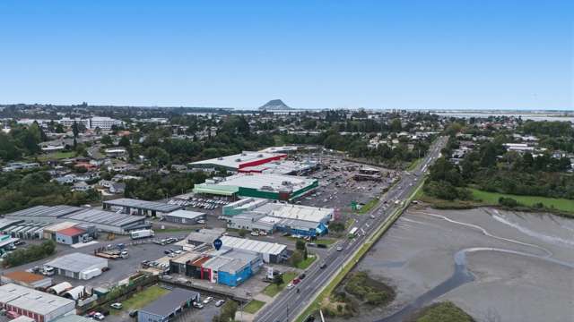 281F Fraser Street Parkvale_4