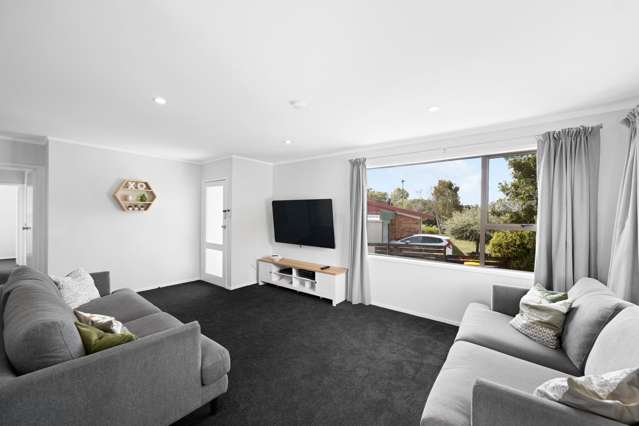 12 Hibiscus Avenue Hamilton Lake_4