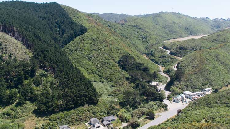 291 Happy Valley Road Owhiro Bay_0