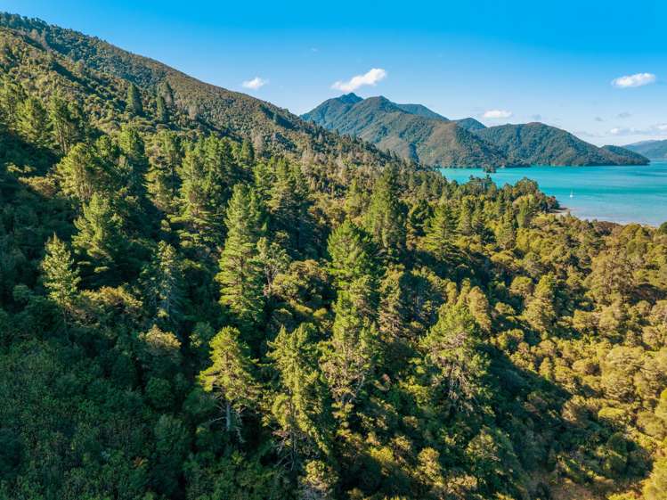 Lots 3 4 5 Nydia Bay Marlborough Sounds_31