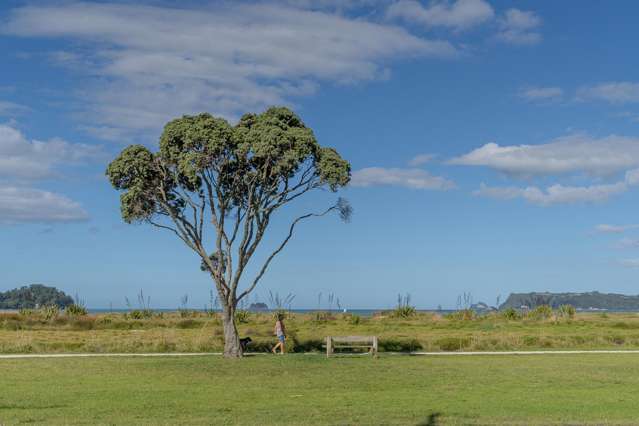 76 Buffalo Beach Road Whitianga_4