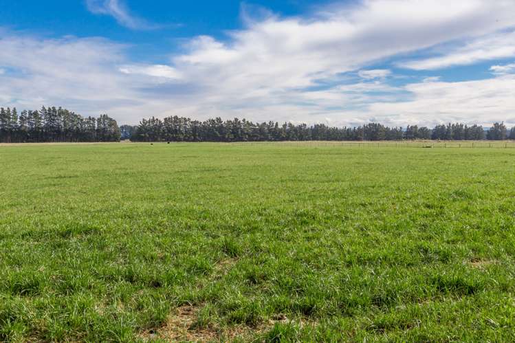 262 Chattertons Road McLeans Island_18