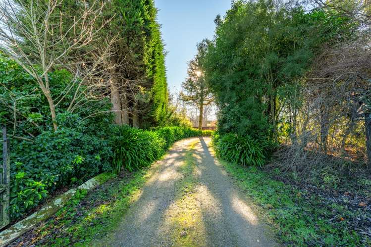 17 Sherratt Road Geraldine Downs_20