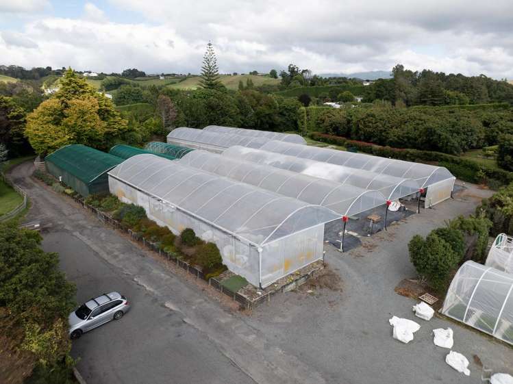 389 Old Highway Whakamarama_34