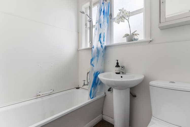 31 Scout Avenue Mount Roskill_8