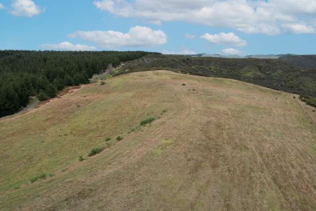 State Highway 12 Dargaville_4