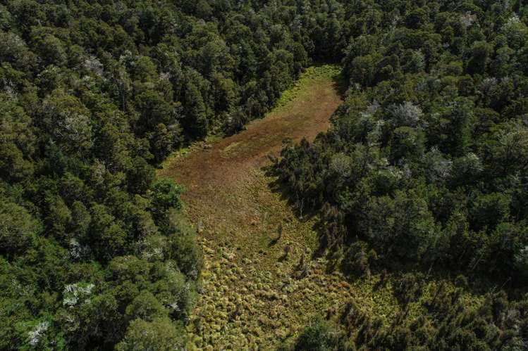 Tadmor-Glenhope Road Tasman_10