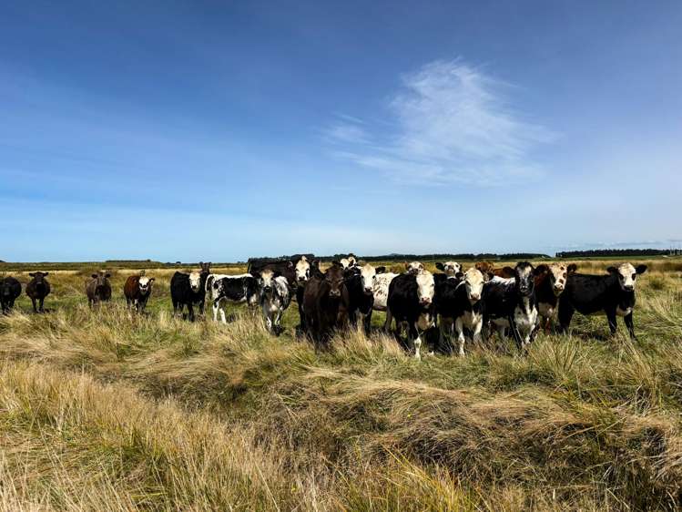 74 Tiwai Road Invercargill_5