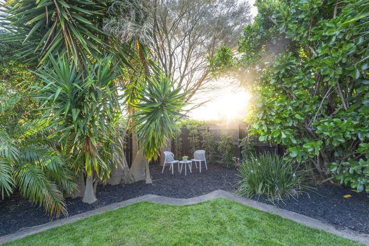 74 Renfrew Avenue Sandringham_20