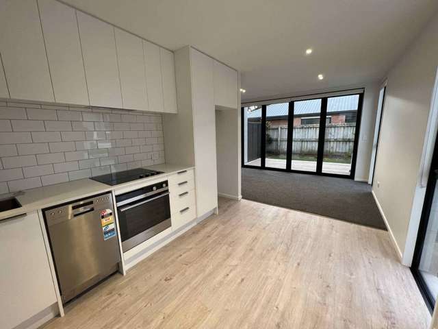 11F Hinemoa Street Spreydon_4