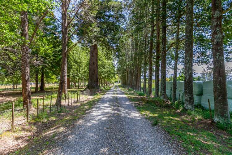 1971 Moutere Highway Upper Moutere_20