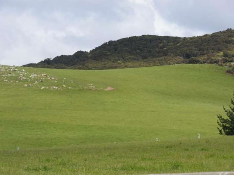 90 Richard Street Riverton_8