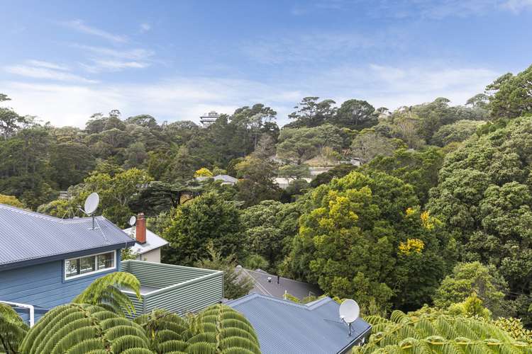 87 Garden Road Northland_10