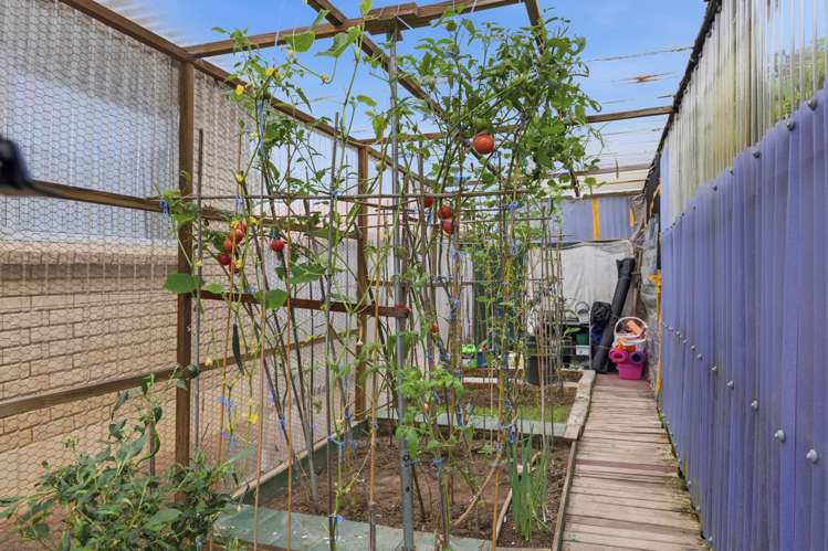 46 Frank Nobilo Drive Golflands_29