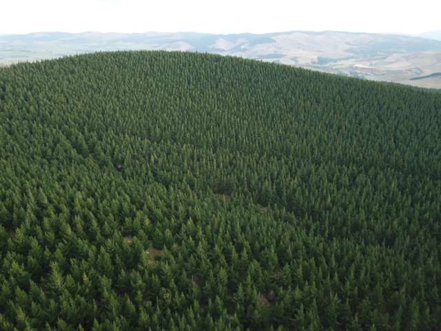 Southland Gisborne_3