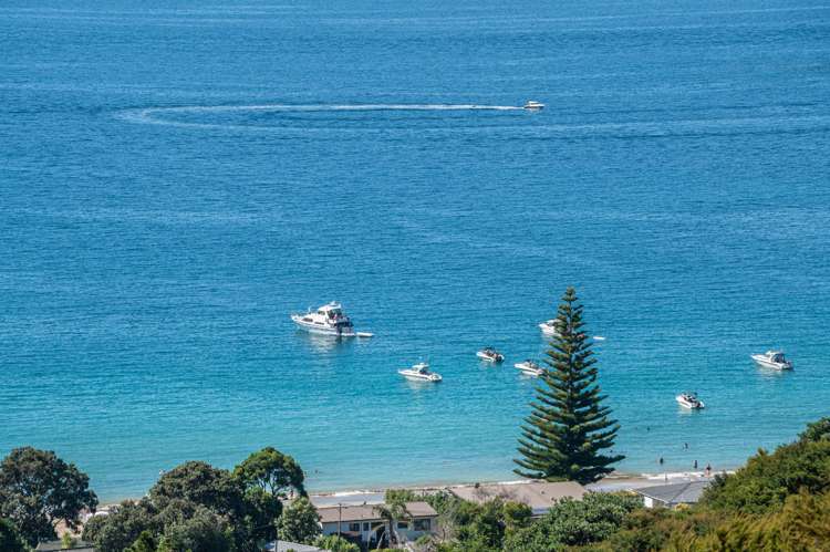 91 Hill Road Palm Beach_6