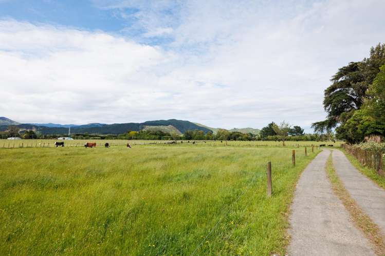 71 Engles Road Shannon_38