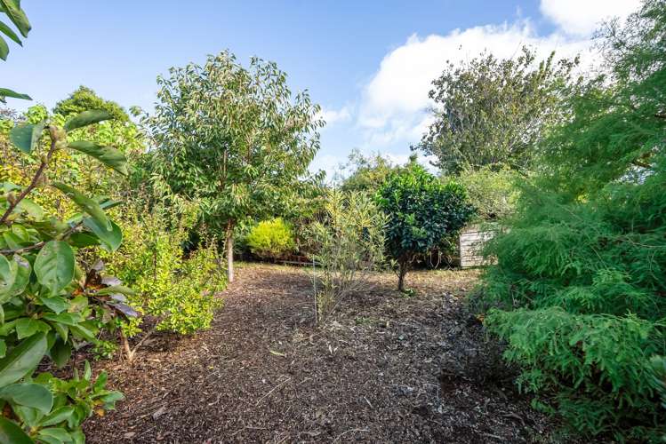 45 Austin Road Maunu_16