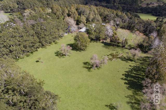 353 Taylor Road Helensville_2