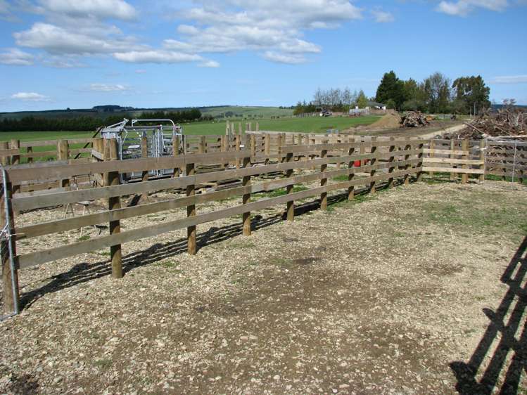 1271 Waikaka Valley Highway Gore Surrounds_10