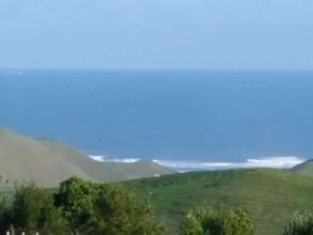 782 Ruapuke Road Raglan_3