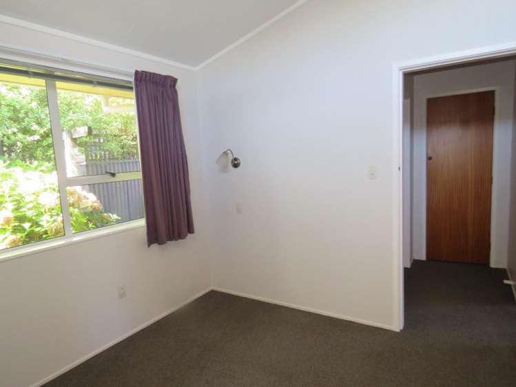 19b Norman Street Vogeltown_9