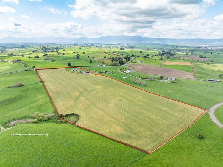 23 Morgan Road Matamata_28