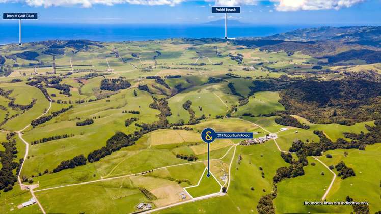 219 Tapu Bush Road Whangaripo_6