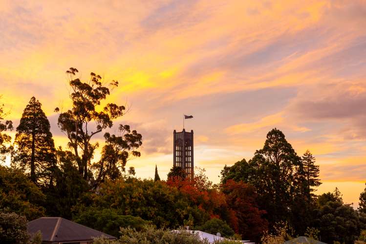 2/27 Shelbourne Street Nelson City_19