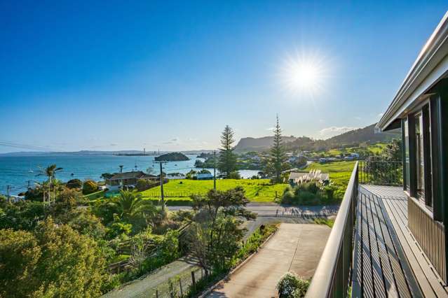 The Taurikura Beach House