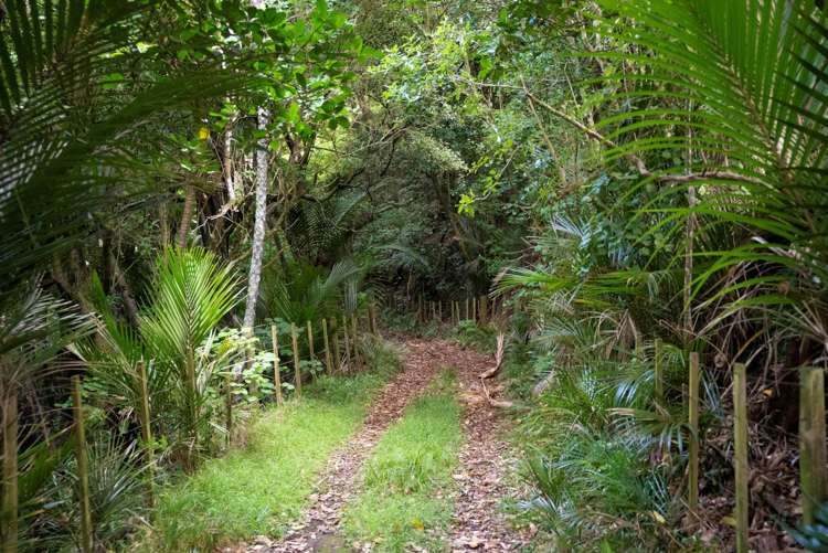 44 J Irwin Road Waiuku_19