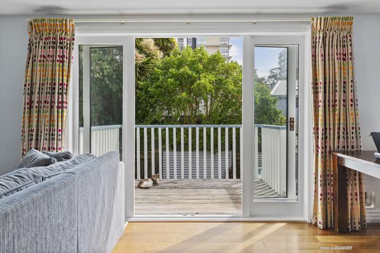 34 Aro Street Aro Valley_7