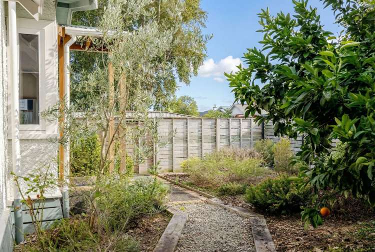 40 Shamrock Street Takaro_25