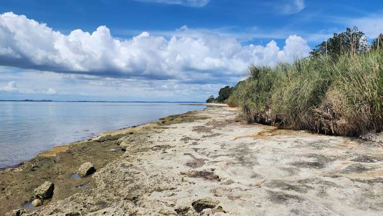 244 Big Bay Road Manukau Heads_17