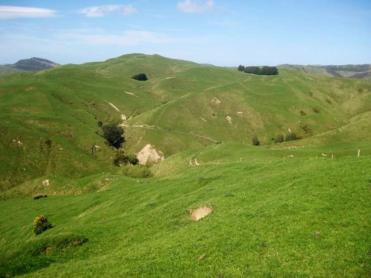 12271 Route 52 Pongaroa_9