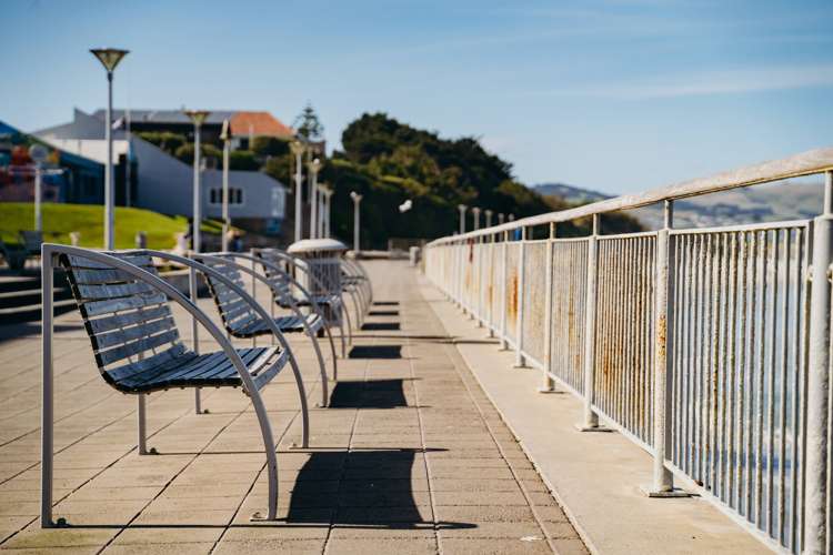 246 Forbury Road Saint Clair_12