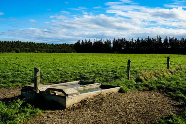 525 Woodlands-Morton Mains Road Morton Mains_9