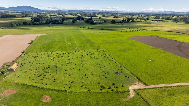 82 Dicks Road Sefton_27