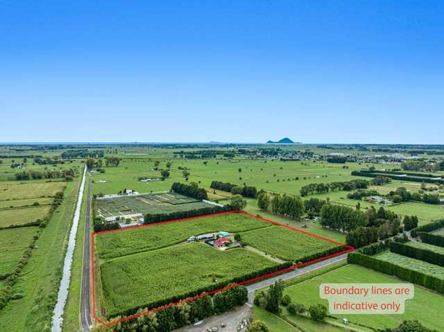 Productive land + home in Otakiri