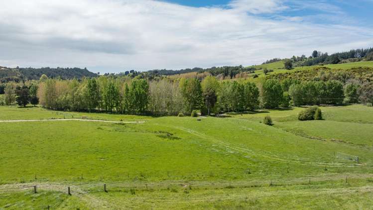 98 Thorpe-Orinoco Road Ngatimoti_16