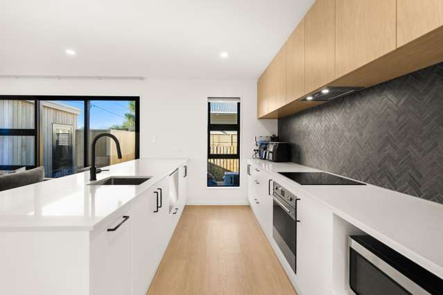 142a Neville Street Spreydon_2